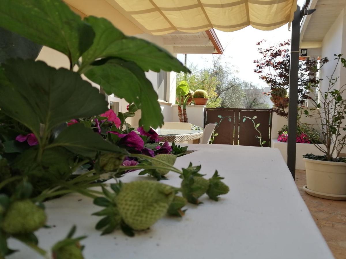 Villa Raggio Di Sole Parcheggio Privato Porto Cesareo Eksteriør bilde