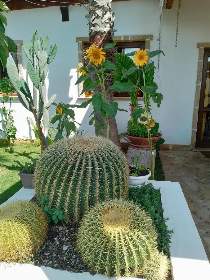 Villa Raggio Di Sole Parcheggio Privato Porto Cesareo Eksteriør bilde