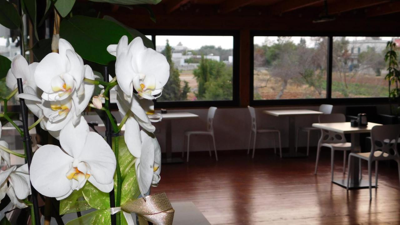 Villa Raggio Di Sole Parcheggio Privato Porto Cesareo Eksteriør bilde