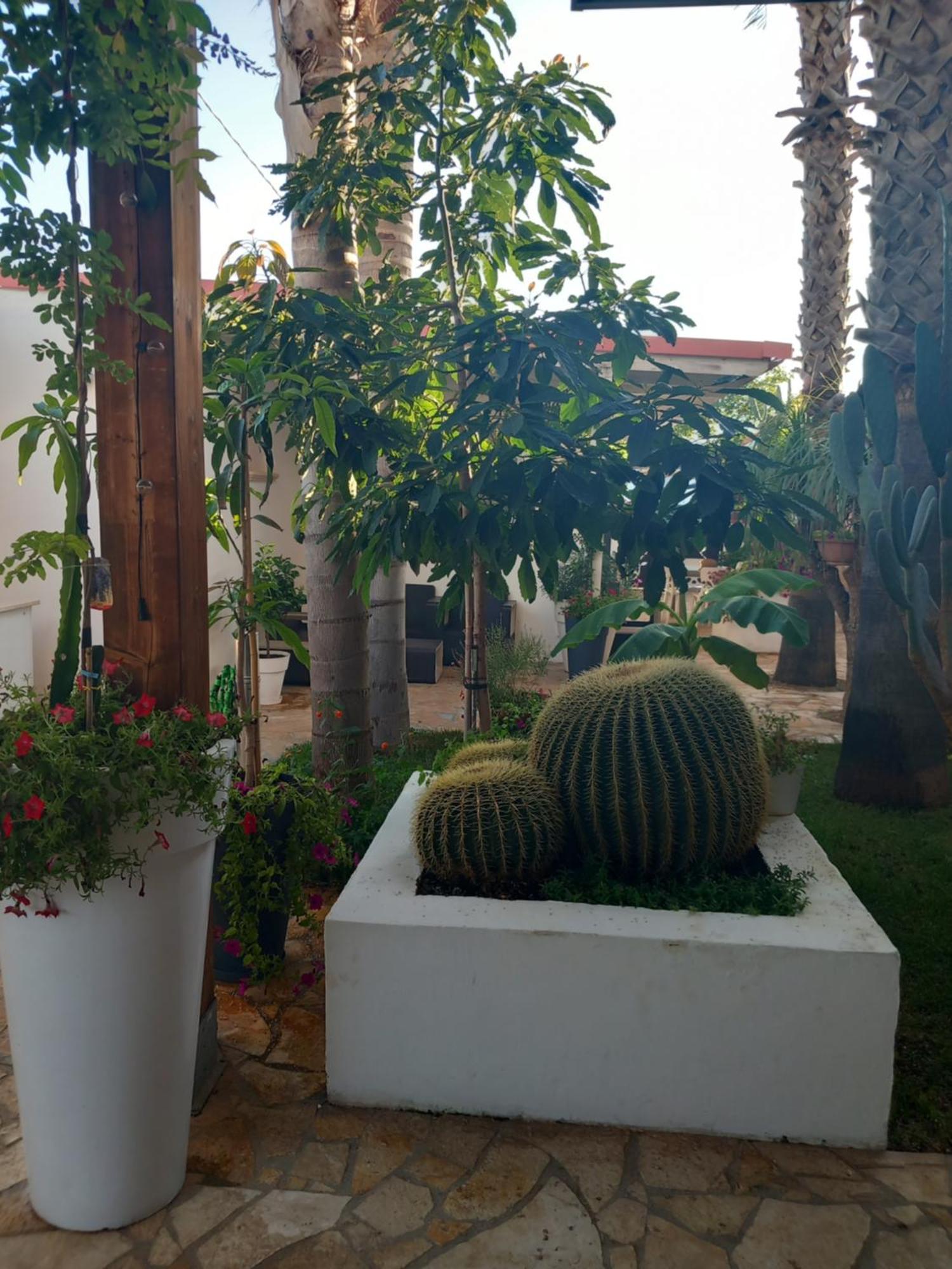 Villa Raggio Di Sole Parcheggio Privato Porto Cesareo Eksteriør bilde